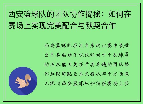西安篮球队的团队协作揭秘：如何在赛场上实现完美配合与默契合作